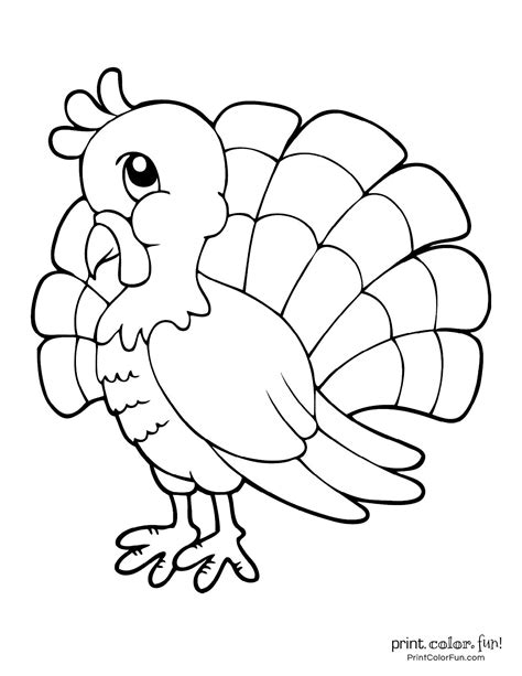Coloring Art For Adults