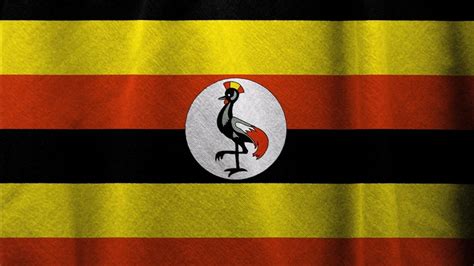 Turkey continues discussions with Uganda on FETO assets