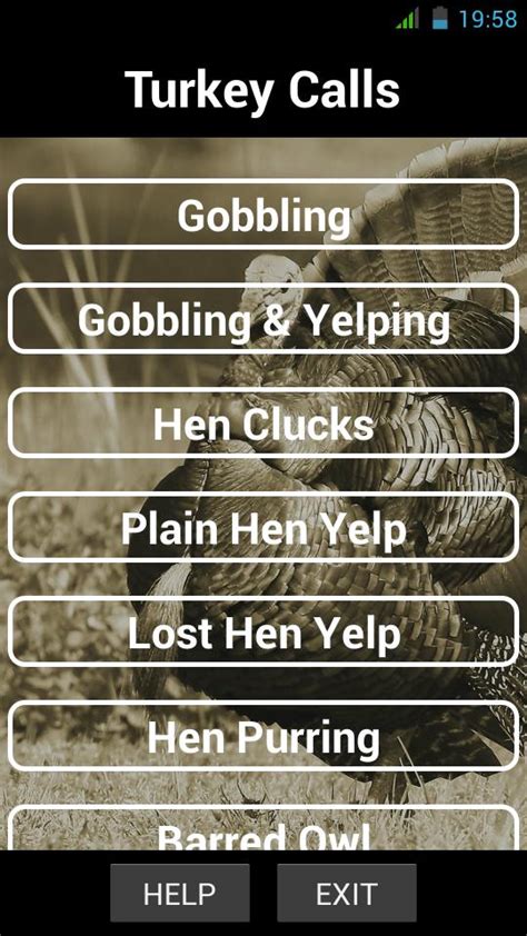 Turkey hunting calls APK Download for Android 