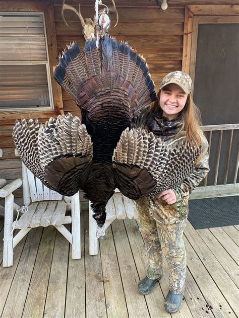 Turkey hunting rules in alabama. Except for turkey, all lawful game animals and birds may be hunted from elevated tree stands only with a bow and arrow or handgun. Hunting migrating birds or turkeys without using live decoys is not permitted. Hunting is not permitted when using electronic dove, turkey, or waterfowl calls. 