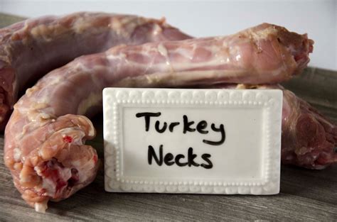 Turkey necks for dogs. Learn how to safely feed your dog turkey, whether plain or seasoned, and what risks to avoid. Find out if raw turkey necks are a good choice for your dog's diet and what alternatives are available. 