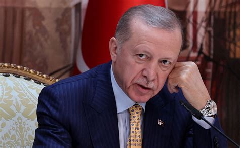 Turkey pushes ahead with assistance to Gaza despite interference from Israel: Erdogan.'