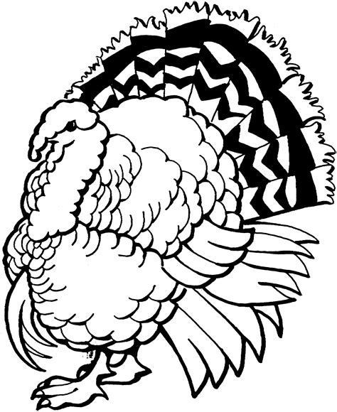 Turkeys Coloring