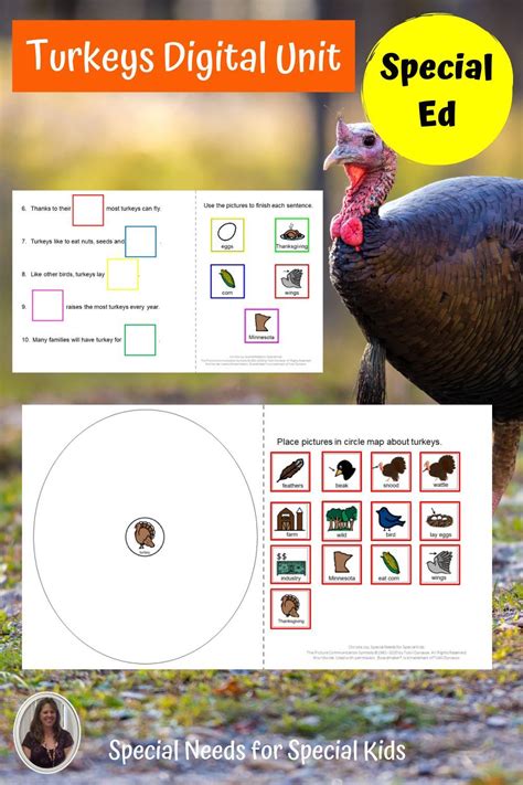 Turkeys Digital Activities for Google Slides Distance Learning