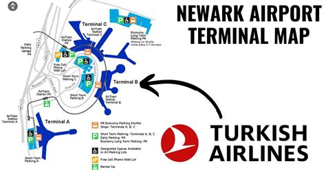 codini.rgarabwor.edu.pl. 