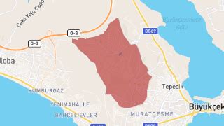 Turkoba Halı ve Koltuk Yıkama