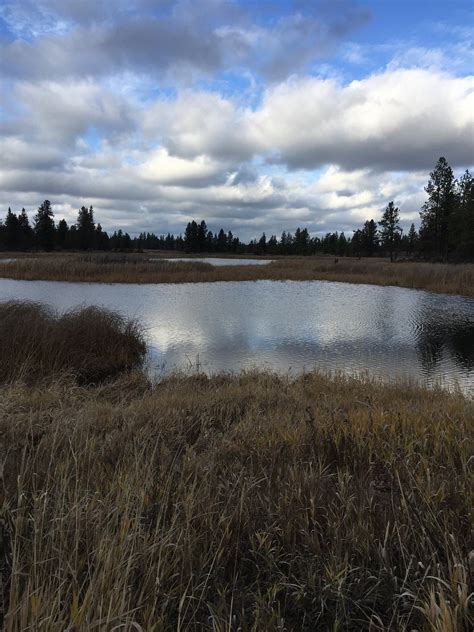 Turnbull National Wildlife Refuge (Cheney) - All You Need to Know ...