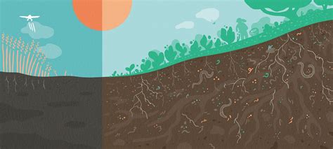 Turning desert to fertile farmland on the Loess Plateau