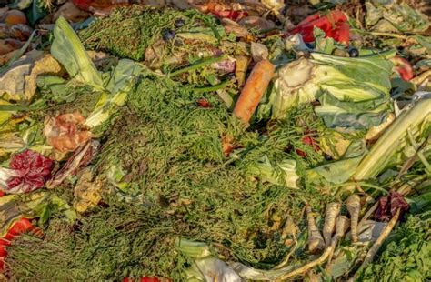 Turning food and crop waste into new products