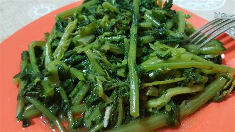 codini.rgarabwor.edu.pl. 