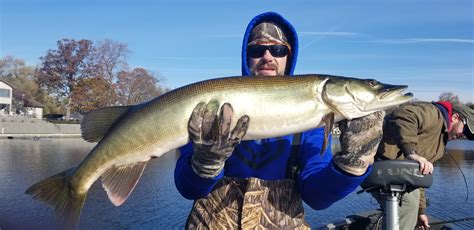 Turquoise Lake 7 Day Fishing Forecast