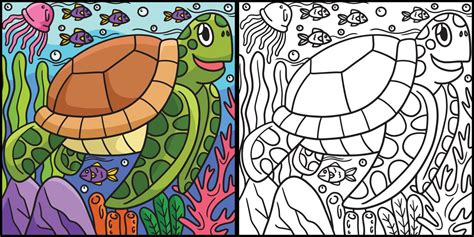 Turtle Coloring Pages Colored
