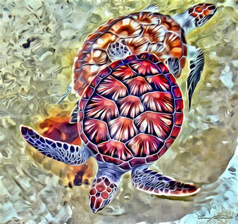 Turtle Eye Digital Art by Anthony C Chen Fine Art America