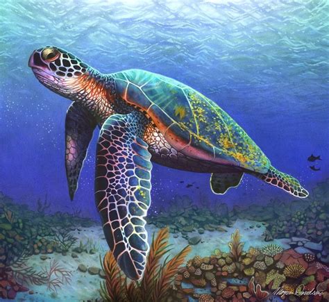 Turtle Study A galleryquality illustration art print by