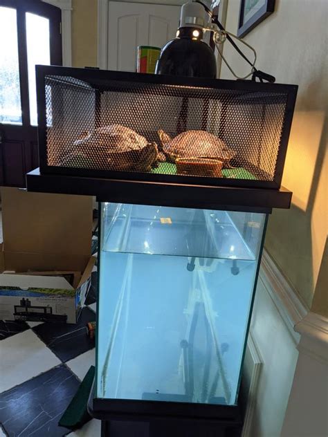 Turtle basking loft. Thrive Turtle Elevated Basking Loft. Old Price $ 109.99 (7) Earn 2X Treat Points on all Aquatic, Reptile and Nate+Jeremiah collection. ... Zoo Med ReptiHabitat Aquatic Turtle Kit, 20 Gallon. Old Price $ 249.99 (26) Earn 2X Treat Points on all Aquatic, Reptile and Nate+Jeremiah collection. 