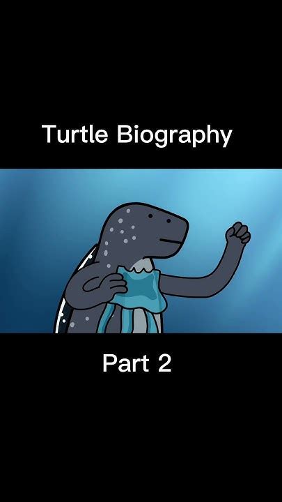 Turtle biography