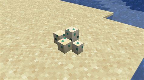 Turtle eggs in Minecraft All you need to know