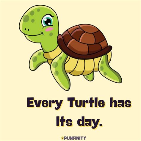 Turtle puns names. .  ...