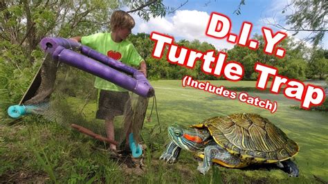It is a humane live catch trap. No baiting is involved, the sun is your natural bait. Once the turtle drops into the basket they cannot escape. >Learn how one of our turtle traps can become one of the most valuable tools in the management of your pond or lake.Dunn's Fish Farm is an exclusive supplier and Authorized Service Center for Kasco Marine.. 