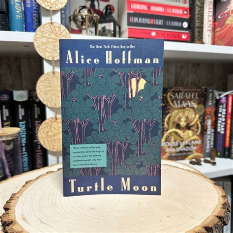 Full Download Turtle Moon By Alice Hoffman