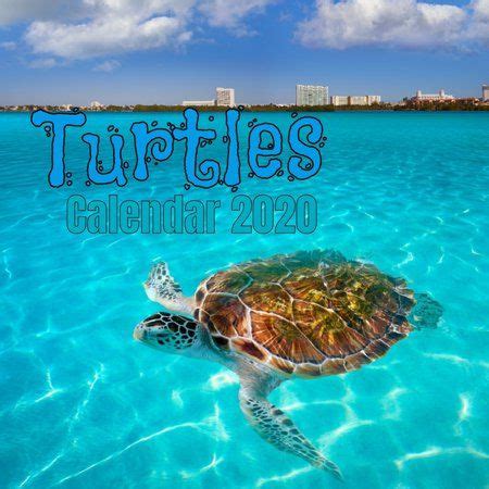 Read Online Turtles Calendar 2020 By Moon Phase Calendar