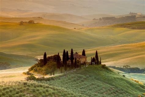 Tuscan Village on Instagram: "Happy #nationalpetday Celebrate …