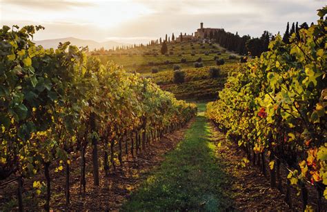 Tuscany wine tour. Tuscany Wine Tours From Florence. Taking a Tuscany wine tour means that you’ll be heading straight into its most famous winemaking region, the Chianti Hills. Declared as Italy’s first protected winemaking region by the Grand Duke of Tuscany in 1716, over the last 300 years, an astounding culture around the highest quality vino has been ... 