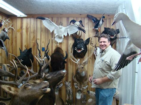 Tutor Custom Taxidermy in Humble TX