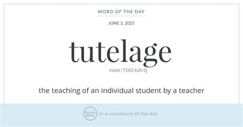 Tutorage or tutelage. .  <a href=https://lang-poc.ict.lv/assets/images/z...