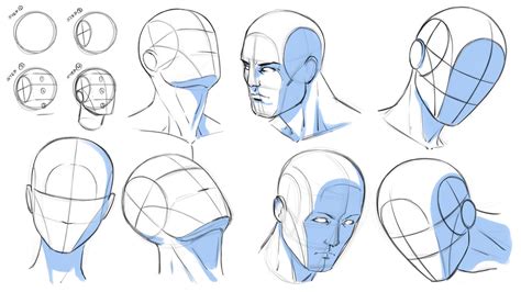 Tutorial How to draw the head from any angle by on DeviantArt