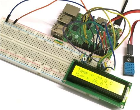 Tutorial Interfacing Dht11 Sensor With Raspberry Pi Youtube Vrogue