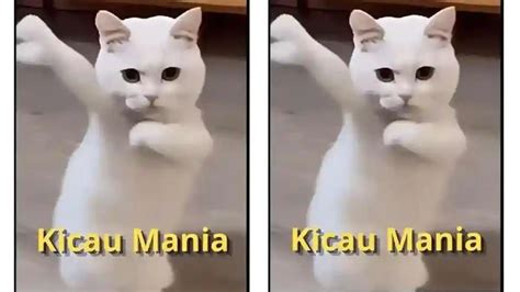 Tutorial bagi foto kucing Nude bugil seleb & freelance online pemula download video bokep indon dari xhamster indo colmek Hosting Haiti Domino cocok untuk semua image 1