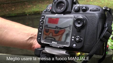 Tutorial per messa a fuoco manuale nikon d3100. - Apostolic guidelines to release the prophetic by kluane spake.