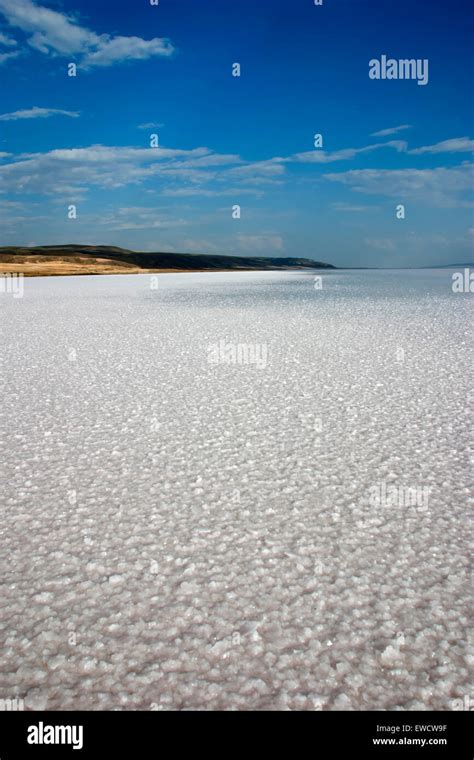 Tuzgolu Halı ve Koltuk Yıkama