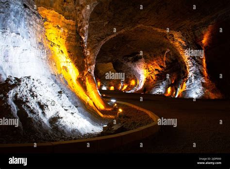 Tuzluca Halı ve Koltuk Yıkama