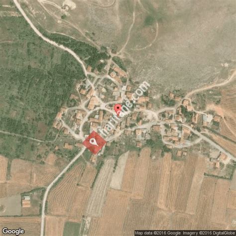 Tuzlucal Halı ve Koltuk Yıkama