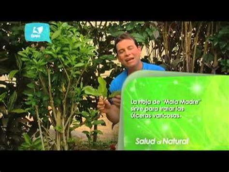 Tves - Salud al Natural - YouTube