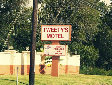 Tweety's motel. Tweety's Motel, established in 1991, is a well-known lodging option located in Southwest Houston, Texas. Situated at 11122 Almeda Rd, this ethnic-owned motel has been serving guests for over three decades, offering comfortable accommodations and friendly service. With its convenient location in Harris County, Tweety's Motel is a popular choice ... 