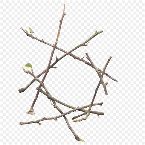 Twig Templates Psd Design For Free Download Pngtree