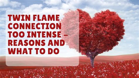 Twin Flame Connection Too Intense