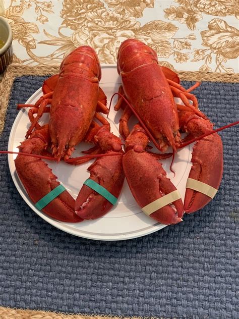 Best Seafood Markets in Manasota Key, FL 34223 - Cut Right Seafood, Twin Lobsters, Placida Fish Market, Fresh Catch Fish, Charlotte Fish Depot, Rick's Seafood, Twin Lobsters - Port Charlotte , Harbor Seafoods Meats And More, Law's Seafood, Another Keeper