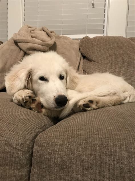 😈 XxX Twisstayy Leaks