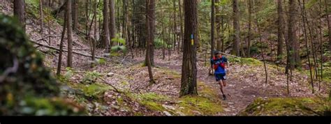 Twisted Branch Trail Run