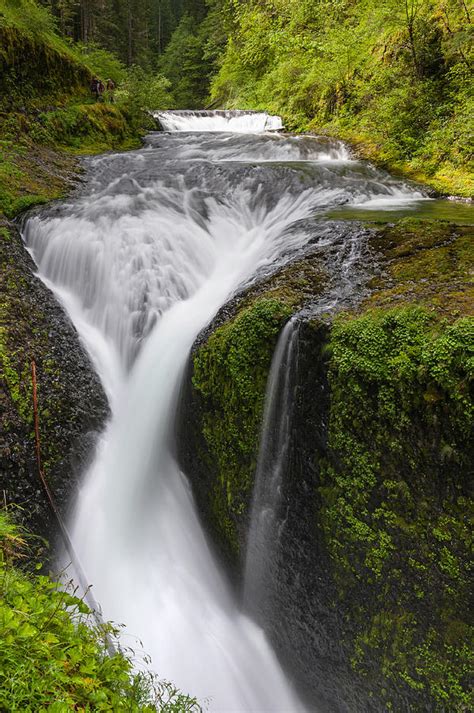 Twister falls oregon. 200 ft Twister Falls is an impressive two-tiered fall near Tunnel Falls in the Columbia River Gorge along Eagle Creek. It is the last major falls along the E... 