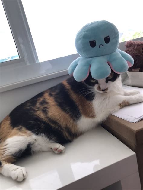 🍌 Twitter: Vambrae Onlyfans Leaked (SEX)