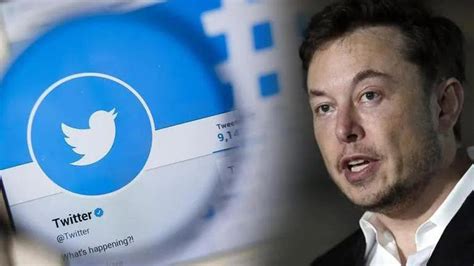 Twitter executive responsible for content safety resigns after Elon Musk criticism