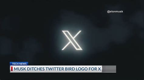 Twitter rebrands with X logo after Musk vow to eliminate 'all the birds'