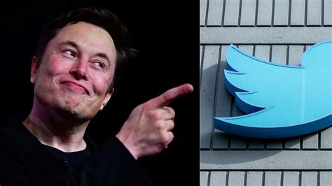 Twitter to ditch bird logo, Musk says