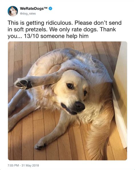 Twitter we rate dogs. Sep 4, 2021 · When Matt Nelson started the Twitter account @dog_rates in 2015, his goal was to make people smile. People submit photos of their dogs, and he posts them on the Twitter account (titled WeRateDogs) with funny comments and a “rating” on a scale from one to 10 — but he often awards ratings exceeding the maximum, like “13/10.” 