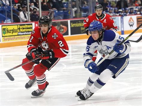 Two Niagara Ice Dogs players banned, GM suspended 2 years as part of OHL sanctions